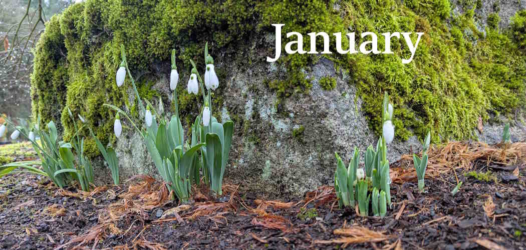 January