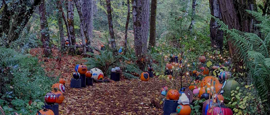 Pumpkin Walk